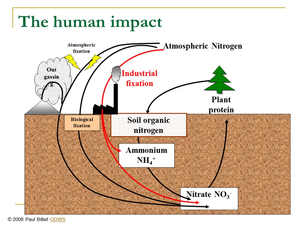 The human impact Biological fixation Industrial fixation © 2008 Paul Billiet ODWS